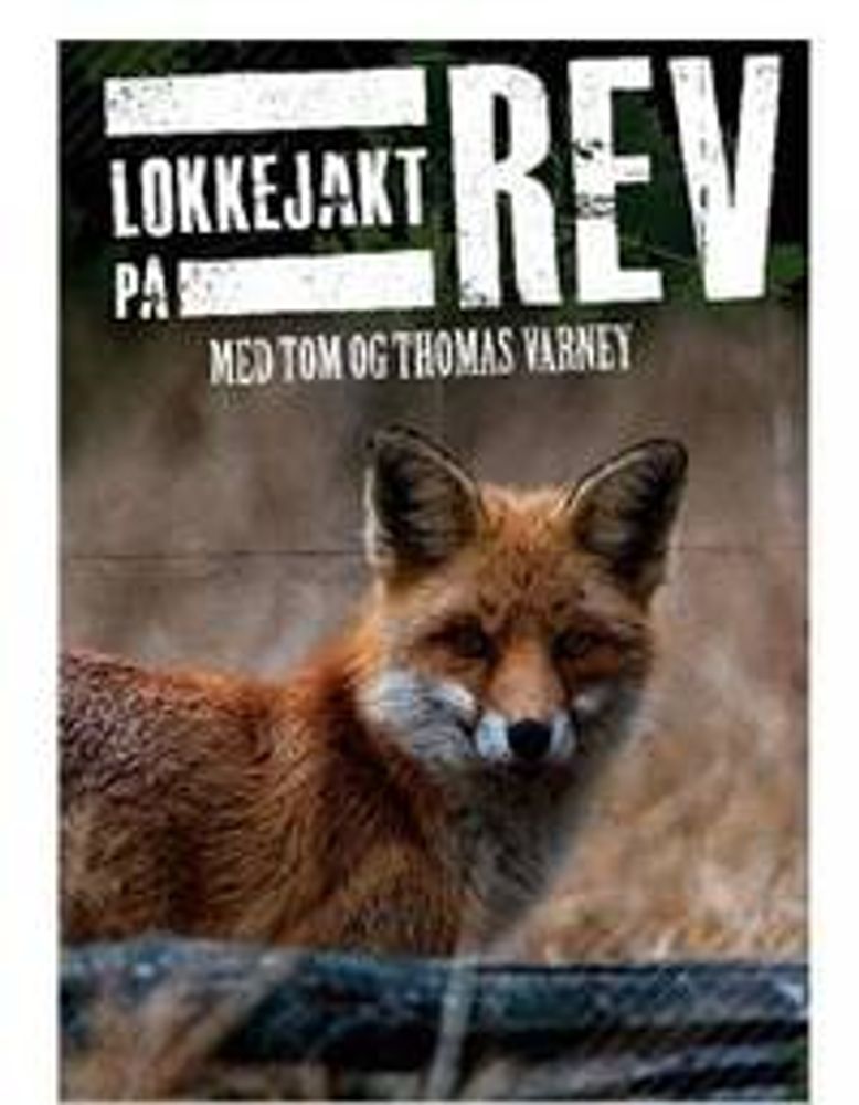 Lokkejakt på rev med Tom Varney